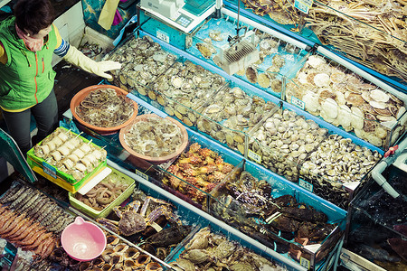 鏡頭下的海洋精靈 章魚攝影如何賦能水產品零售新體驗